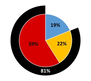 Other NEO Comp Mix Pie Chart - resize.jpg